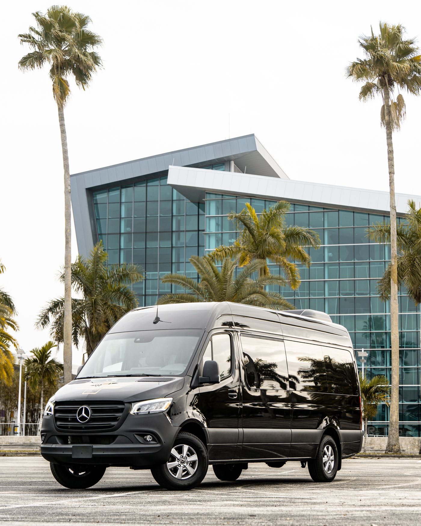 Black Mercedes-Benz Sprinter van